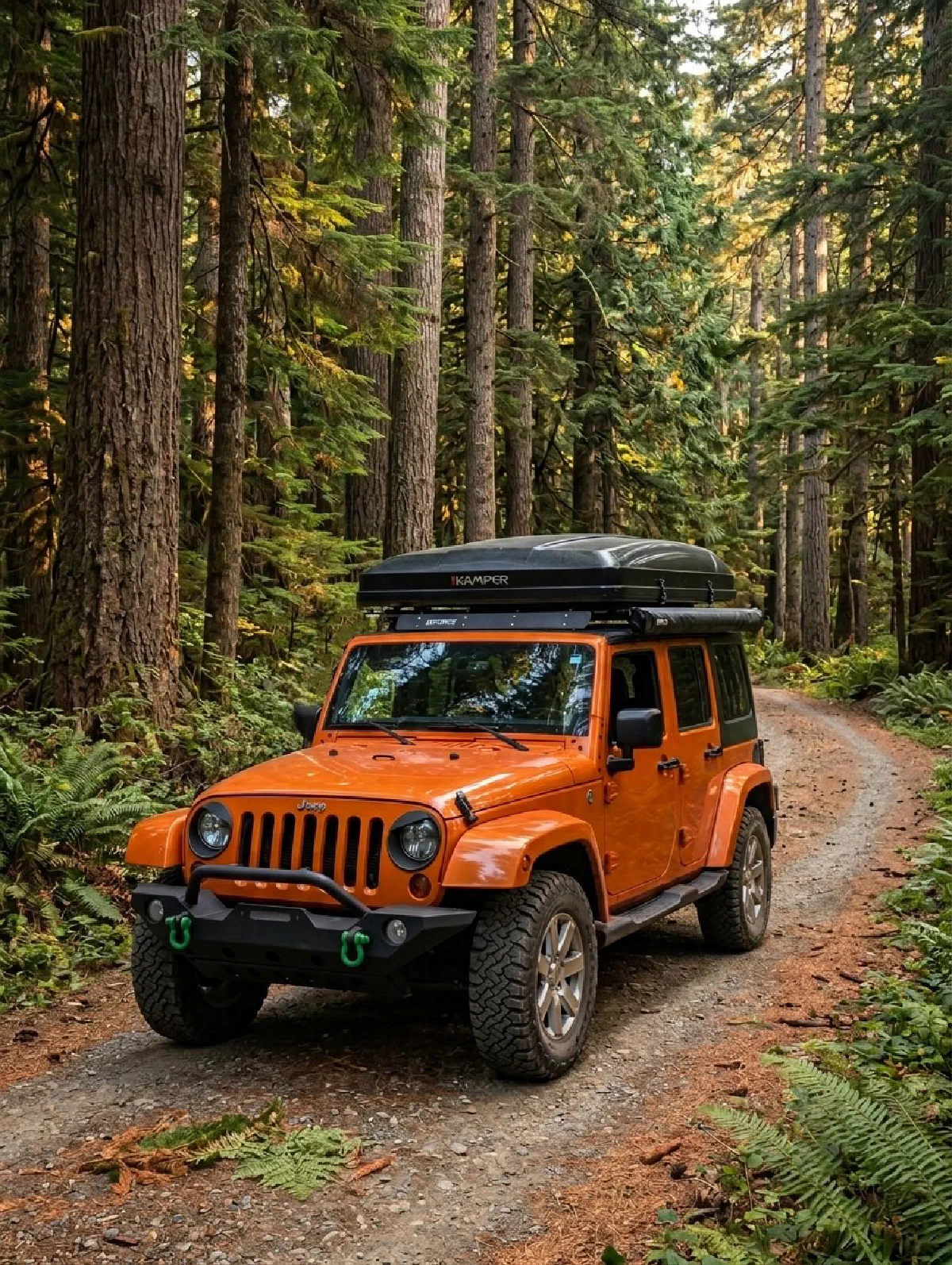 Thornberry — forest road